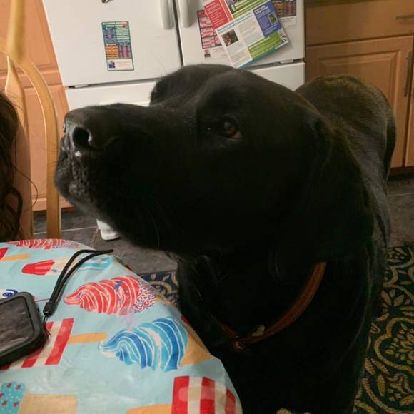 Meet your Posher, Keri - Picture 1 of 1